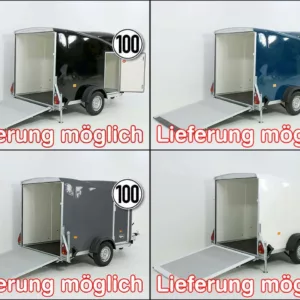 Debon Kofferanhänger Cargo 1300 Vollpoly 150x290cm H:160cm|Tür-Neu